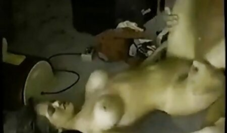 雌犬とのセックス 女性 用 アダルト ビデオ 無料